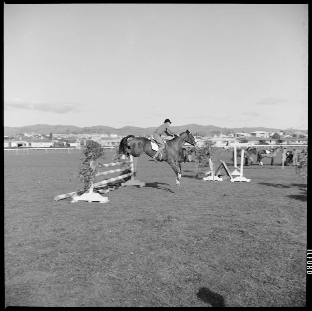 Orange Festival. Kevin Kite of Hamilton show jumping.