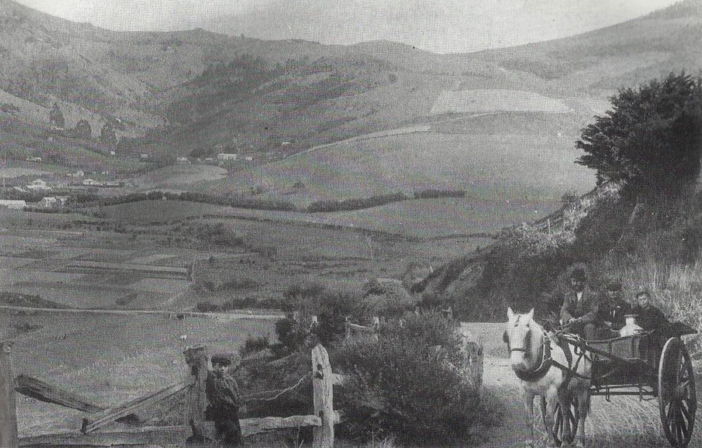 Early Chinese Market Gardens