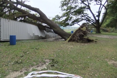 Elizabeth Ackermann Photograph 125