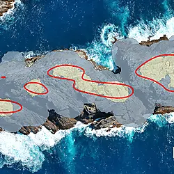 Densities of NZ fur seals, Ranfurly Island, Bounty Islands archipelago