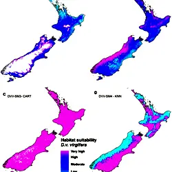 Habitat suitability prediction for Western corn rootworm (D. v. virgifera) in New Zealand.