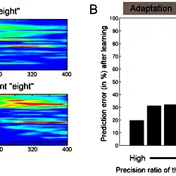 Accent adaptation of the recognition model.