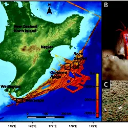 The sampling sites.