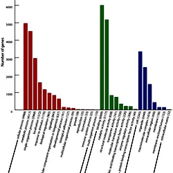 Distribution of the annotated transcripts into GO slim categories.