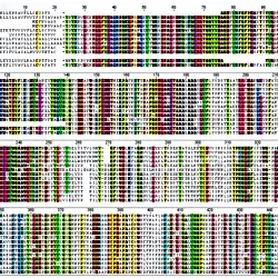 Amino acid alignments of predicted C. hookeri and T. cristinae EGs.