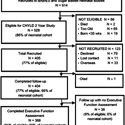 CHYLD study STROBE flow chart.