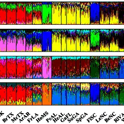 Bar plots of admixture assignments for the entire data set, spanning North America, Old World, and New Zealand collections, based on Bayesian clustering implemented in Tess, showing K = 13–16.