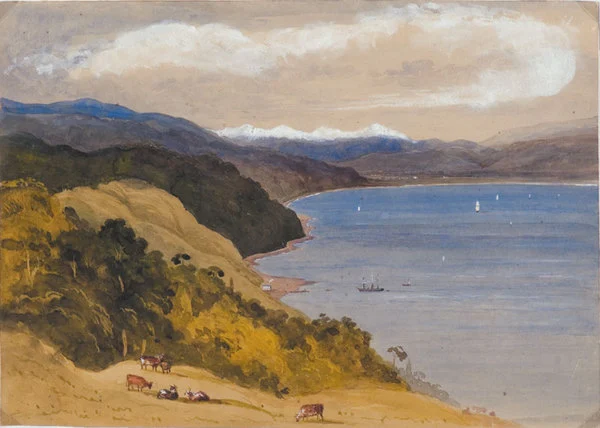 Port Nicholson from the Town Belt Wellington.