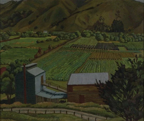 Tobacco fields, Nelson, N.Z.