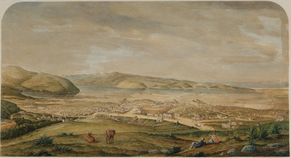 City of Dunedin. 1864.