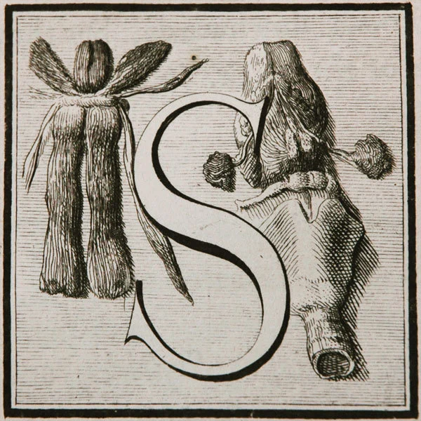The letter 'S'.