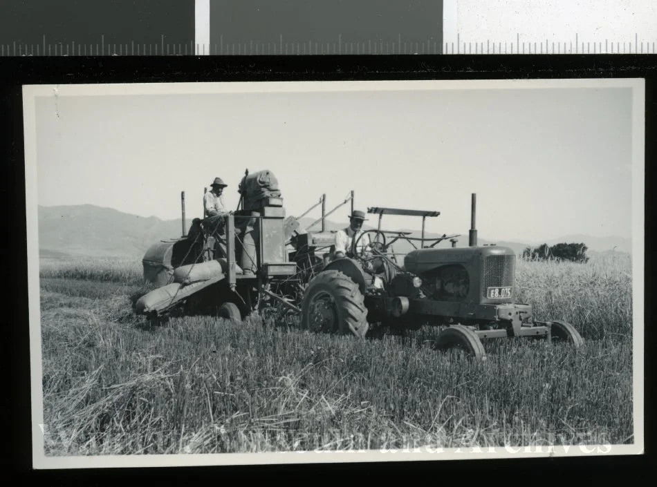 Sandy Hogg on header, Hakataramea