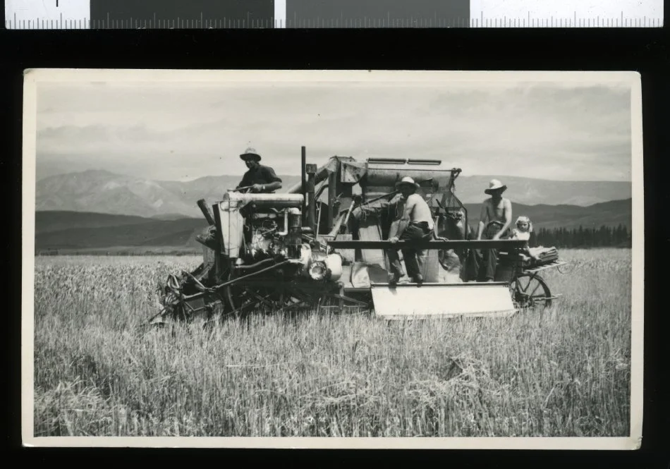 Sunshine self-propelled auto header