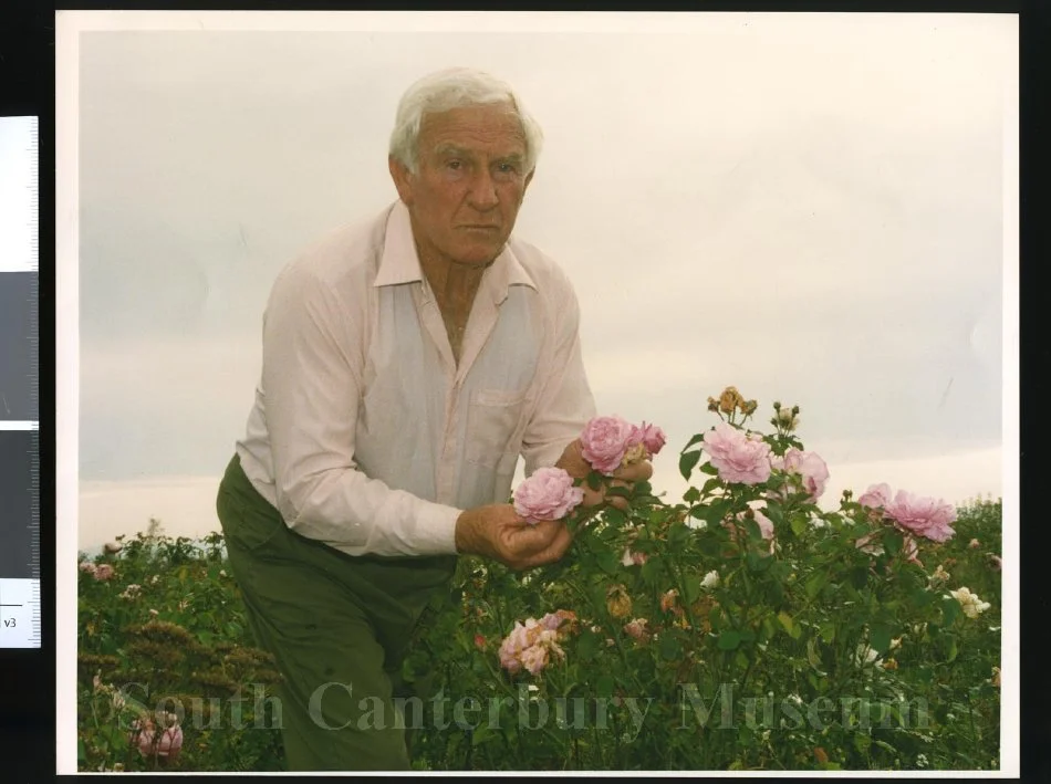 Trevor Griffiths, rose grower