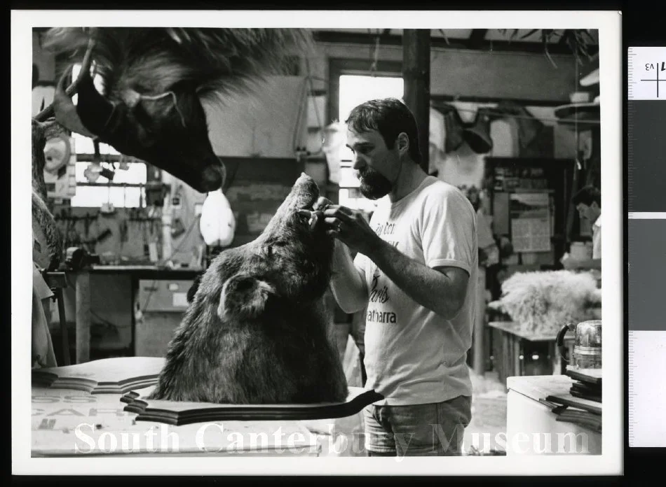 Lance O'Rourke, taxidermist