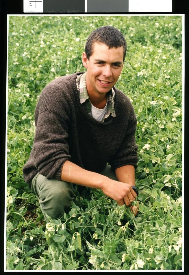 Hayden Roberts, McCains field officer