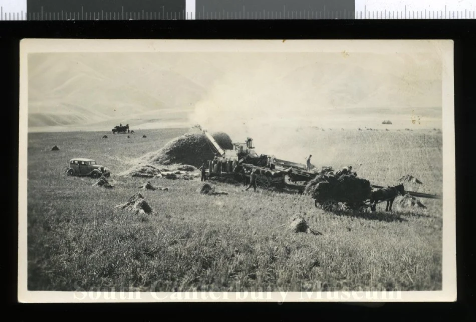 Threshing stooks - wheat