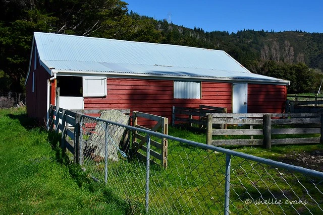 Ocean Bay Woolshed, Port Underwood, Marlborough