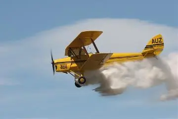 Tiger Moth topdresser : digital image