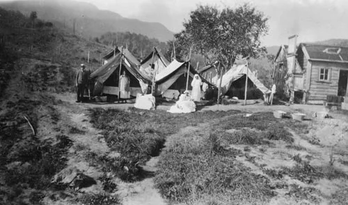 Typhoid camp, Maungapōhatu, 1924