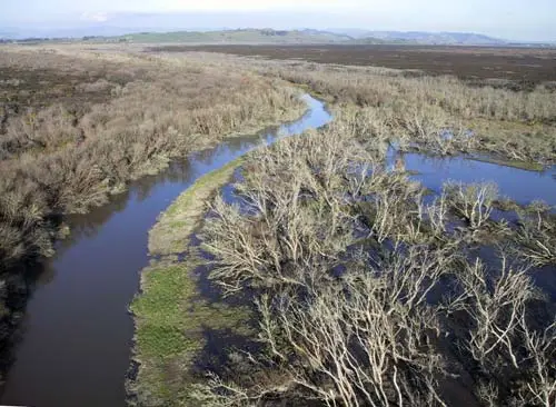 Whangamarino Wetland