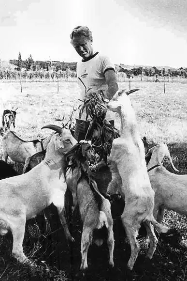 Farming Kiko goats