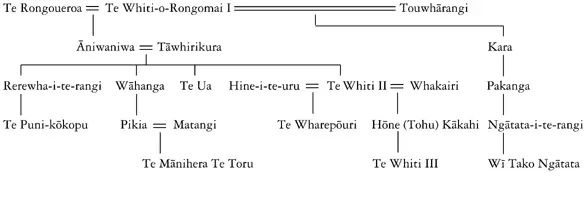 Whakapapa of Te Wharepōuri