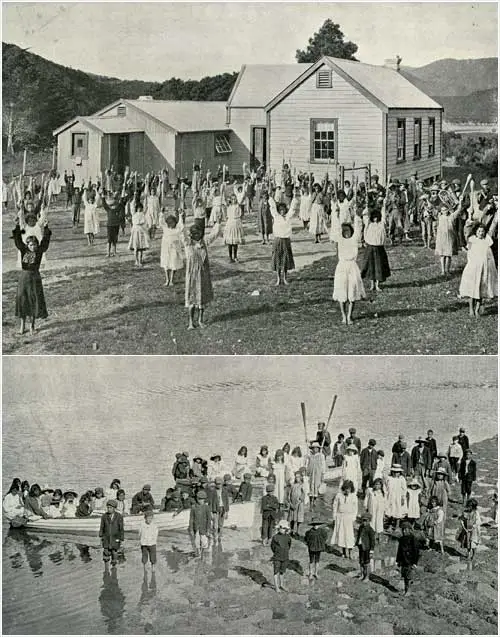 Native school, Whangapē