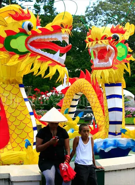 Chinese New Year, Auckland