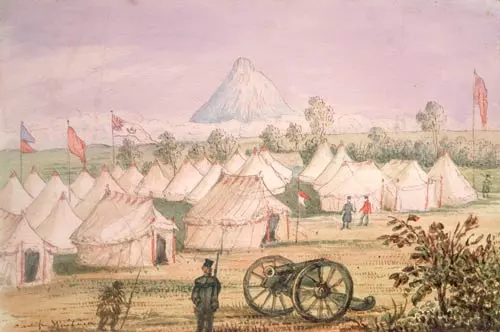 Waitara camp