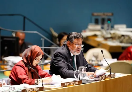 Declaration on the Rights of Indigenous Peoples, 2010