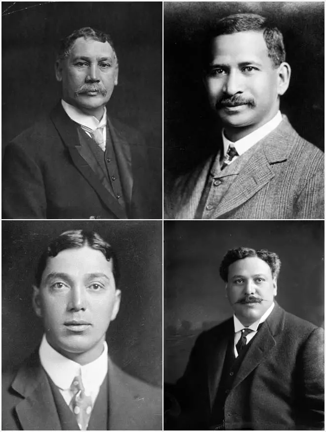 Young Māori Party