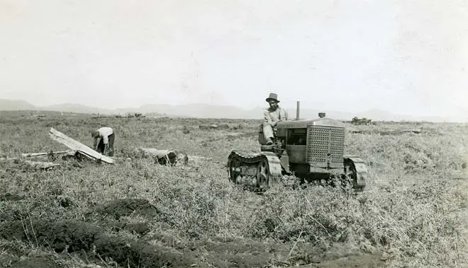 Developing Māori land, 1939