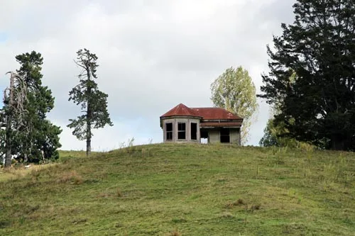 Abandoned house near Te Kūiti