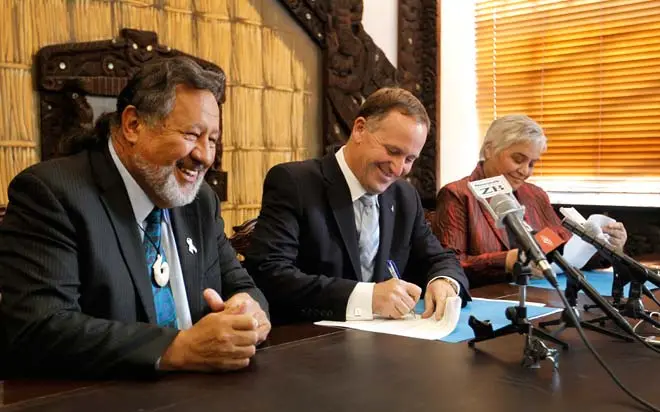 Māori Party co-leaders, 2008