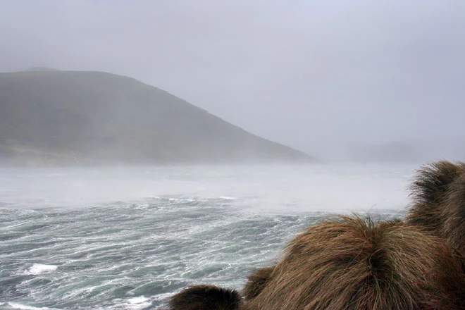 Storm, Campbell Island