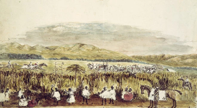 Ruamāhanga races