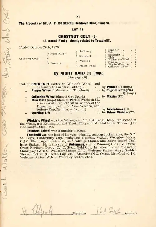 Phar Lap: a chestnut colt