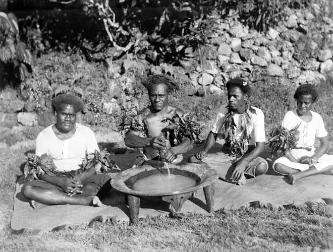 Kava being prepared in Fiji, 1900