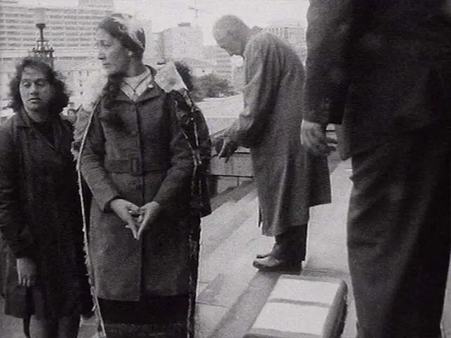 Te reo Māori petition, 1972