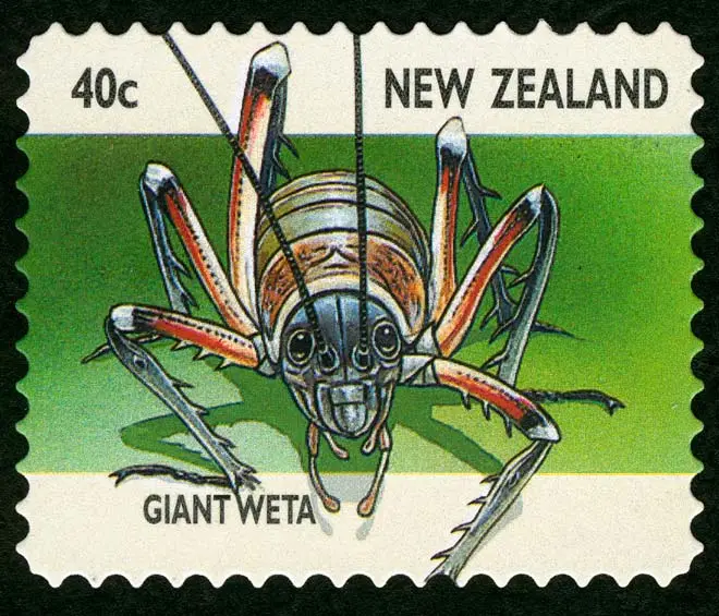 Giant wētā stamp