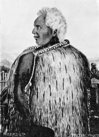 Te Ruki Kawiti