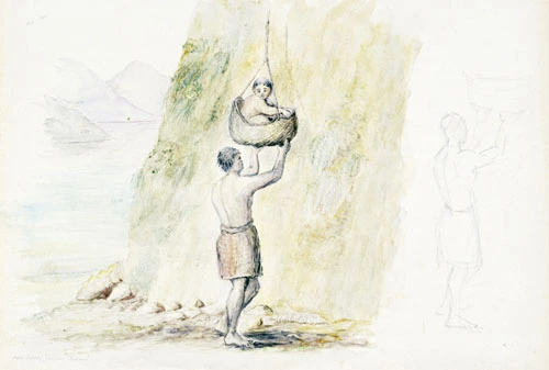 Te Peehi Tūroa