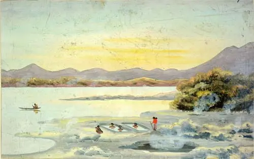 Māori use of thermal pools