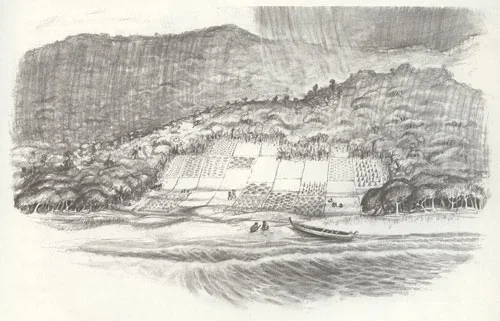 Gardens, Anaura Bay