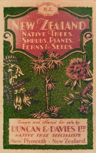 Nursery catalogue
