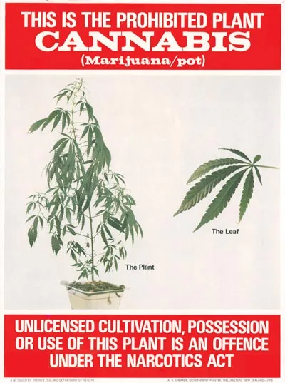 Pot poster