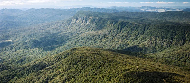 Ngāi Tūhoe