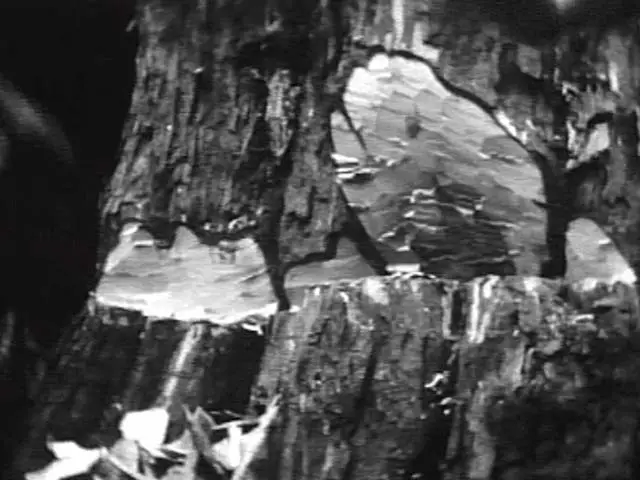 Logging and milling