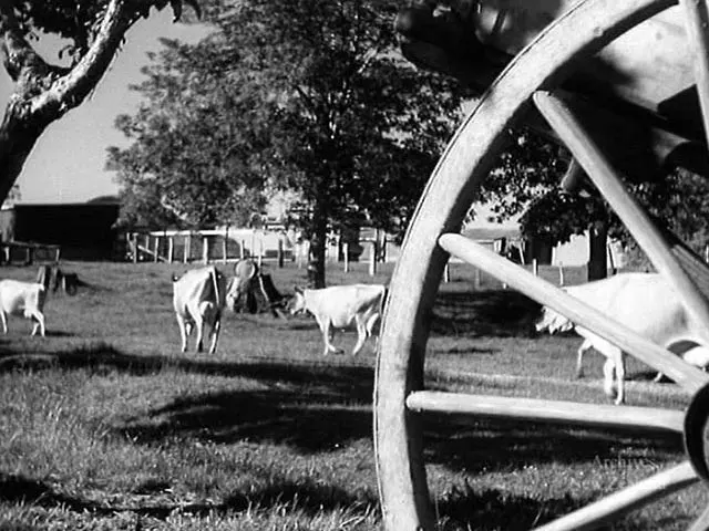 Family farm, 1949